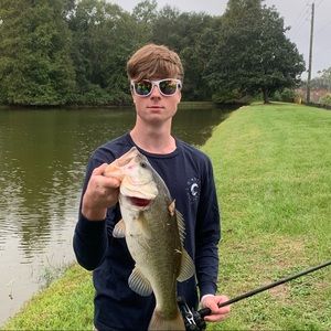 Meet your Posher, Shad